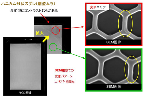 大面積ナノパターン検査装置の詳細